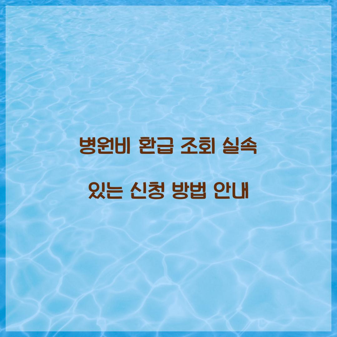 병원비 환급 조회