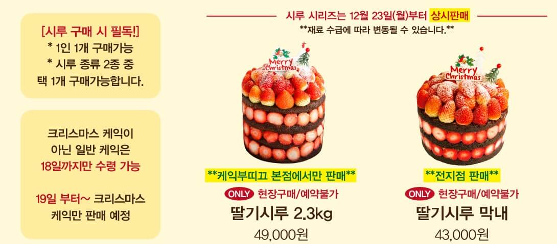 성심당 크리스마스 케이크 딸기시루