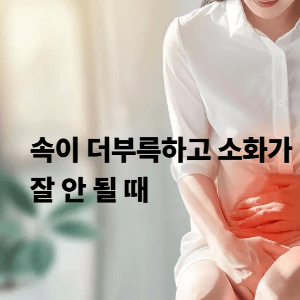 1. 속이 더부룩하고 소화가 잘 안 될 때