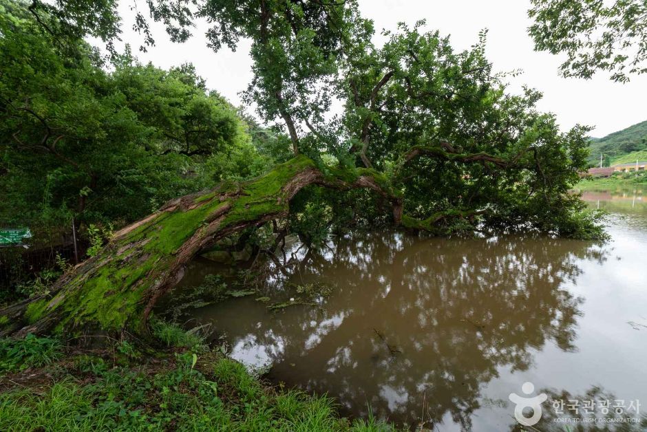 경산 가볼만한곳 베스트10