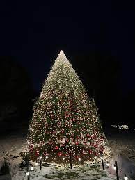 눈내림 별내림 불빛축제 산들소리