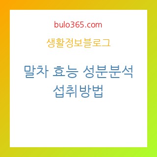 말차, 효능, 성분분석, 섭취방법
