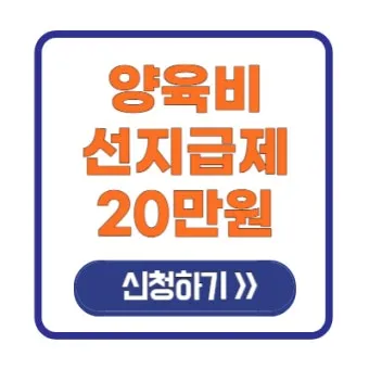 양육비 선지급제 신청 방법과 최신 정보_22