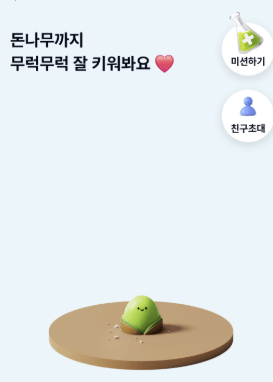 케이뱅크 돈나무 