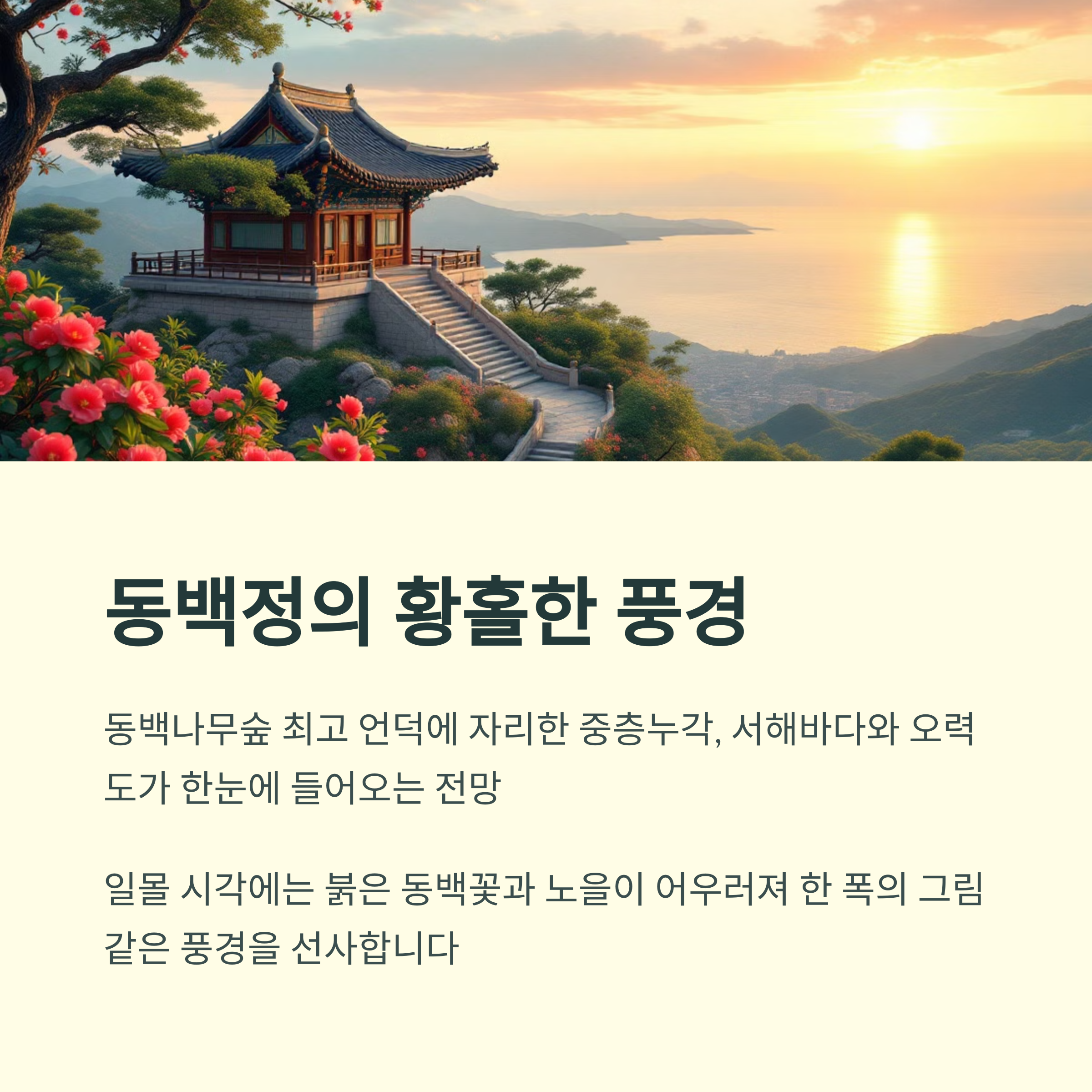 서천 마량리 동백나무숲