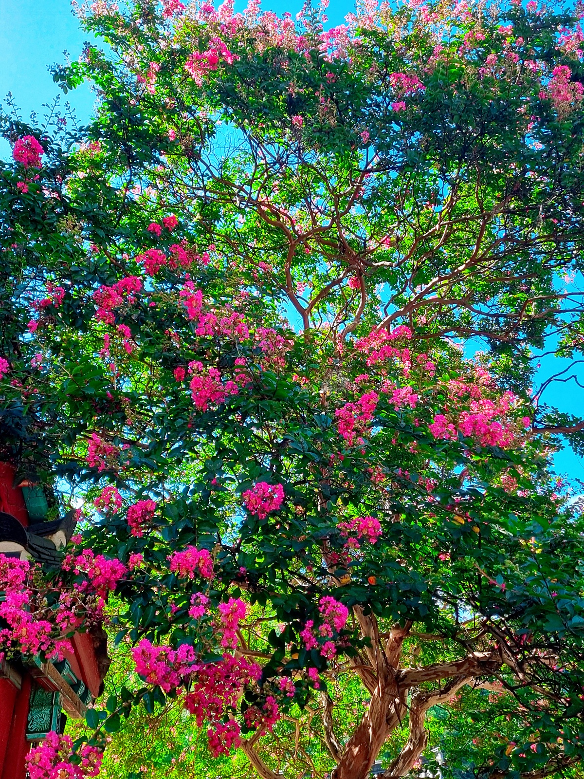 경남 하동 쌍계사: 맑은 계곡이 흐르는 지리산의 절