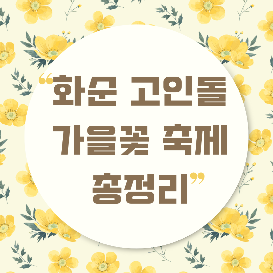 화순 고인돌 가을꽃 축제 안내