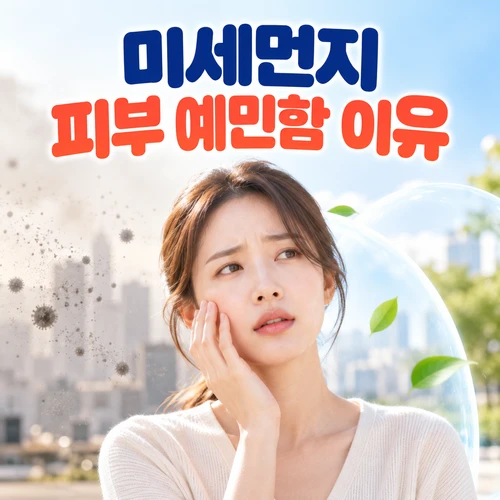 미세먼지 피부 예민함 이유