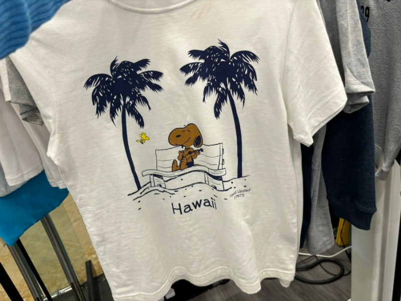 하와이 기념품&amp;#44; 쇼핑 리스트 종결판: 가성비부터 한정판까지