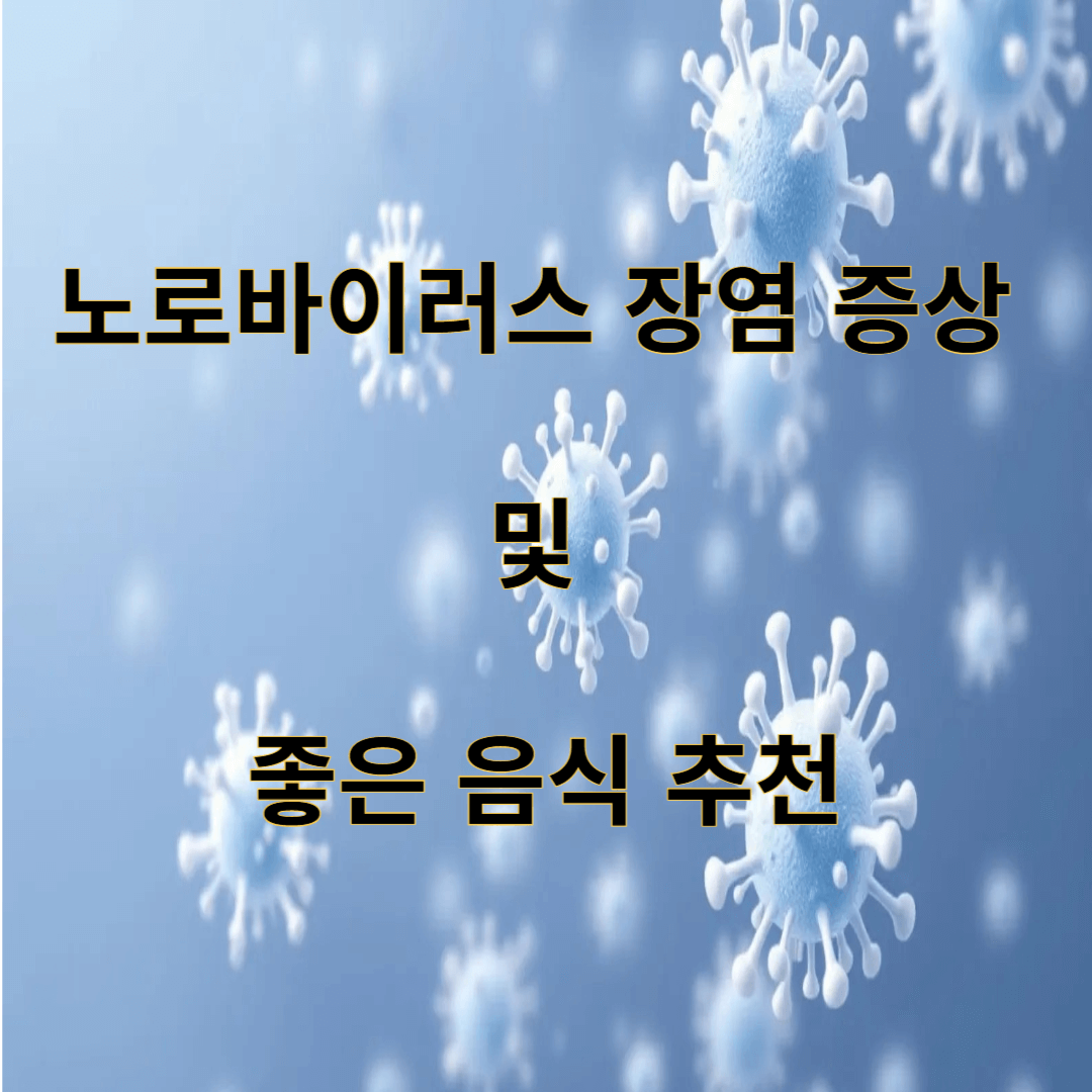 노로바이러스 장염 증상 및 좋은 음식
