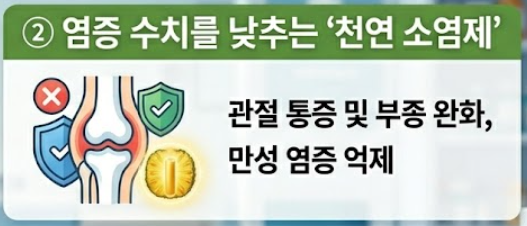 브로멜라인 효능