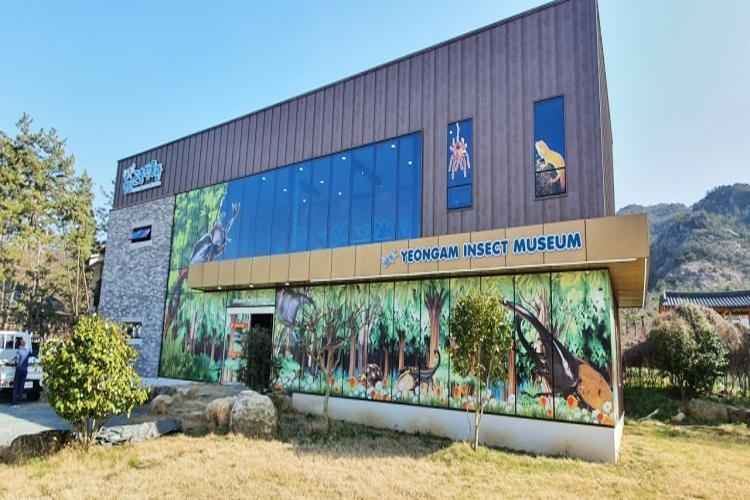 영암곤충박물관