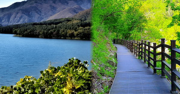 당일치기 여행 관련 이미지