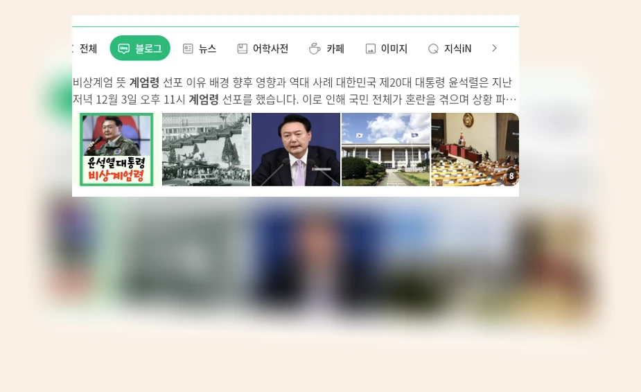 계엄령_1_subsection