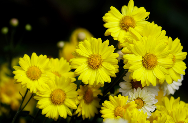 노란색이 아이의 마음에 주는 선물