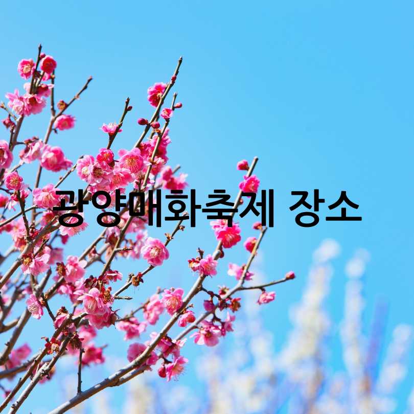 2025년 광양매화축제 & 매화 개화 시기