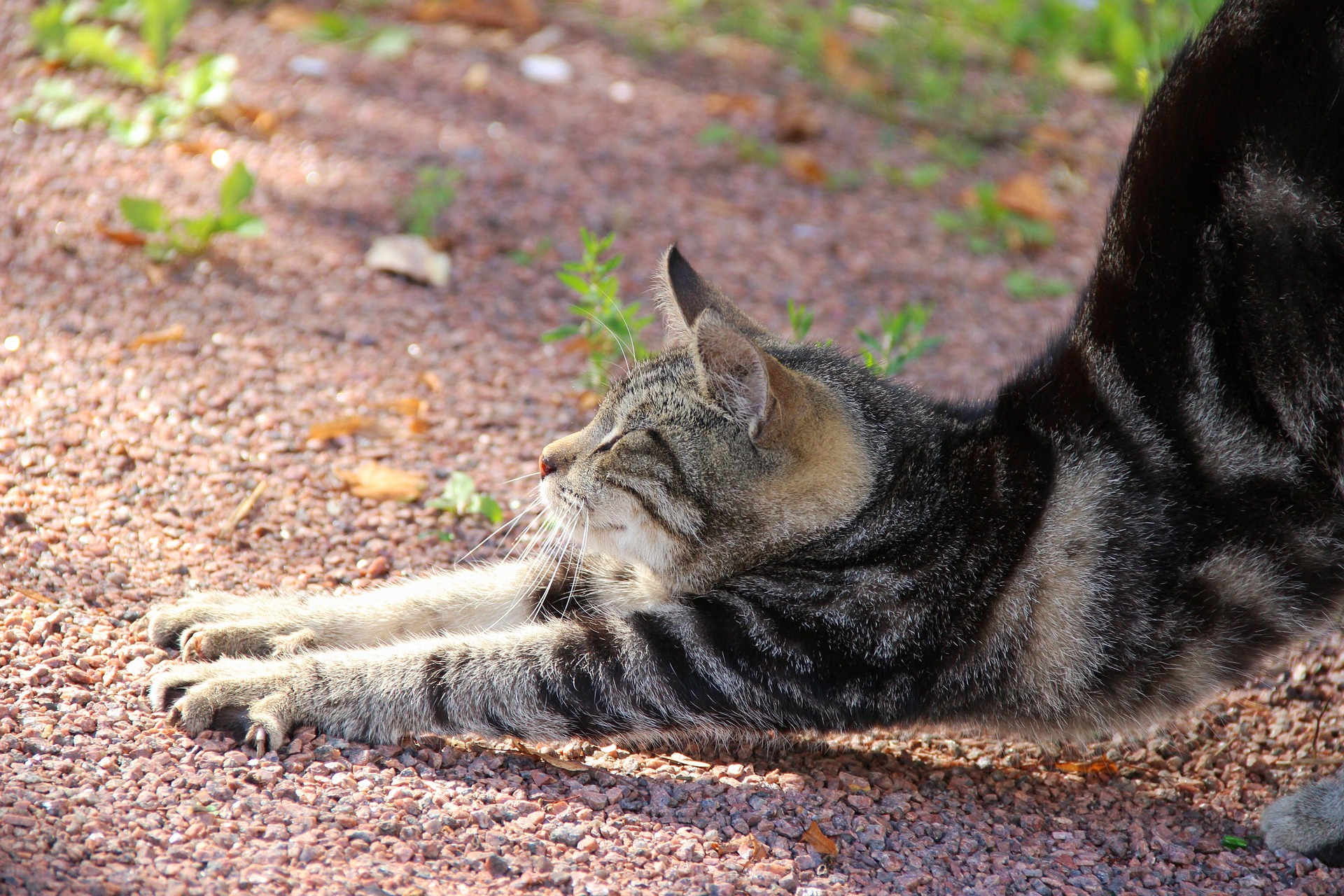 스트레칭이 노년 건강에 중요한 진짜 이유