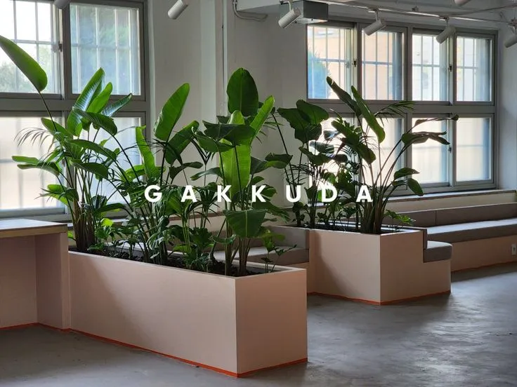 집에서 기르기 쉬운 실내 식물 추천_8