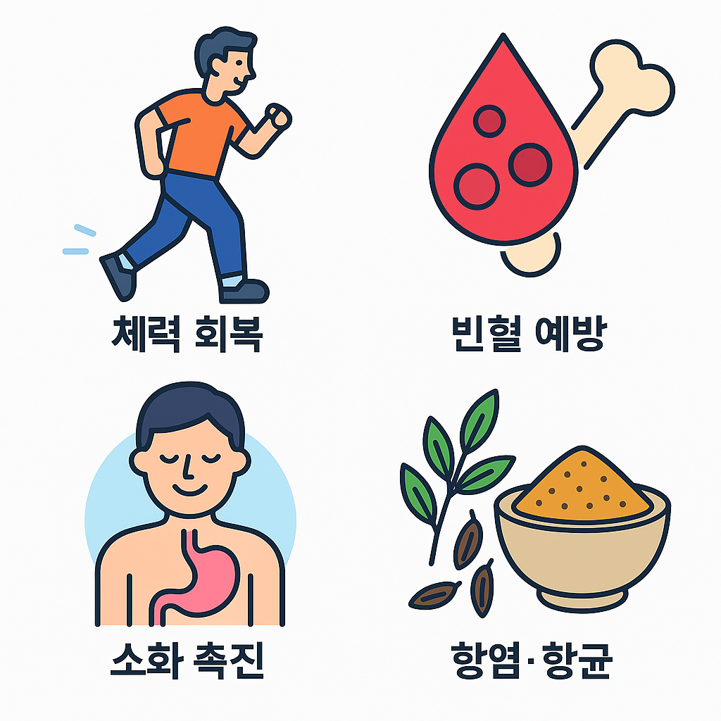 양고기의 건강 효능