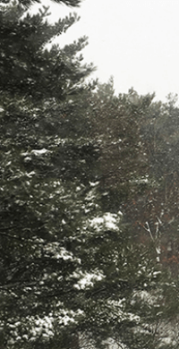 팔공산 케이블카 예약