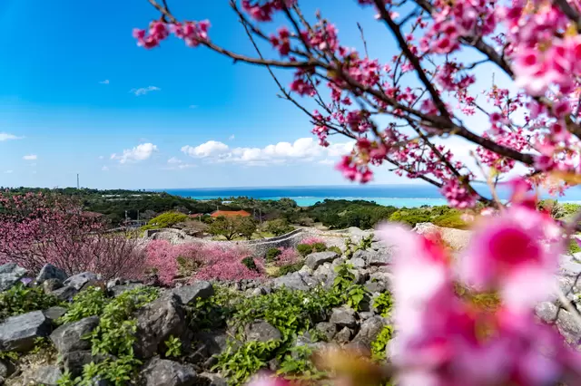 오키나와 자유여행 인기 관광 남부, 중부, 북부 명소 추천 22선