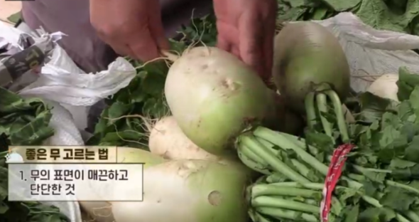좋은 무 고르는 법
