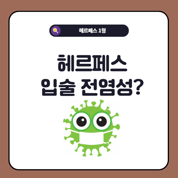 헤르페스 입술 주변 수포 전염성