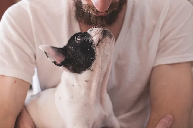 유자 재배 겨울 보온 방풍막 설치 염해 예방_9