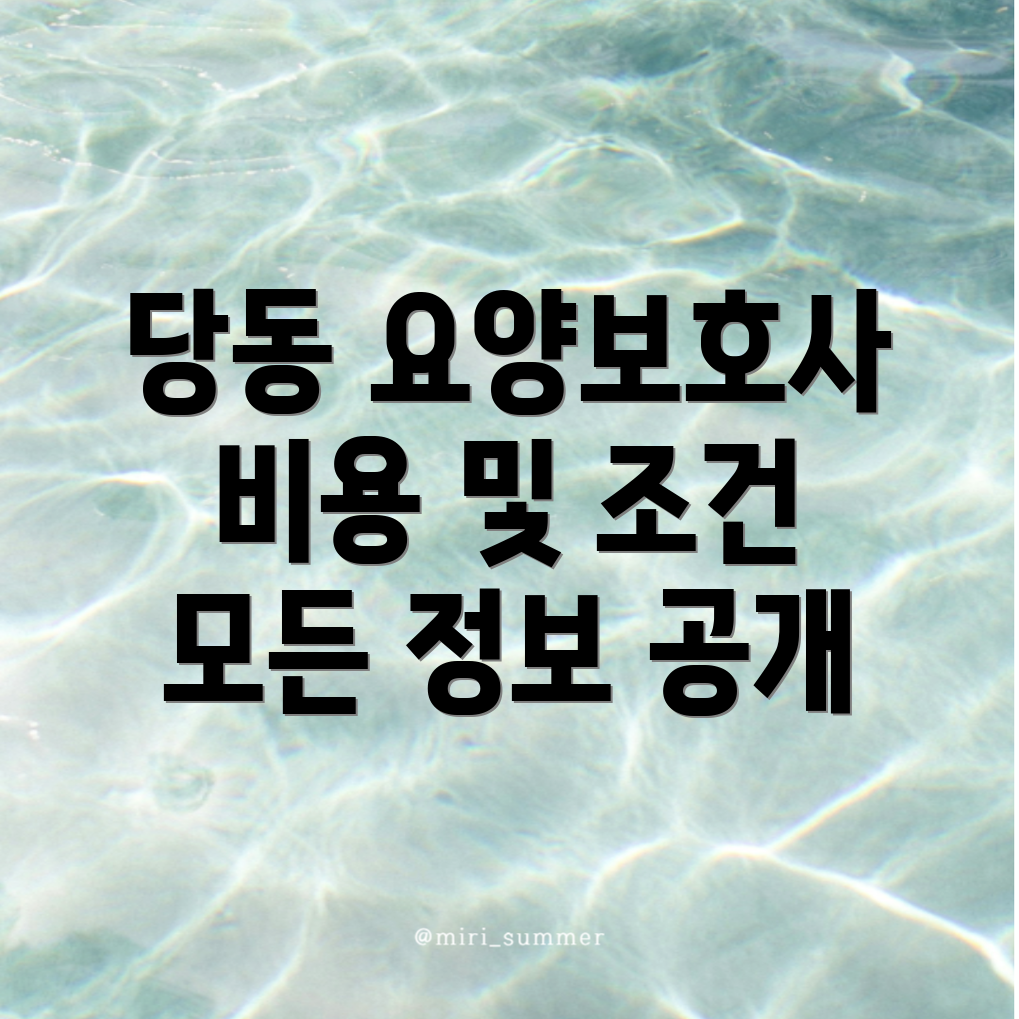 방문요양보호사 비용