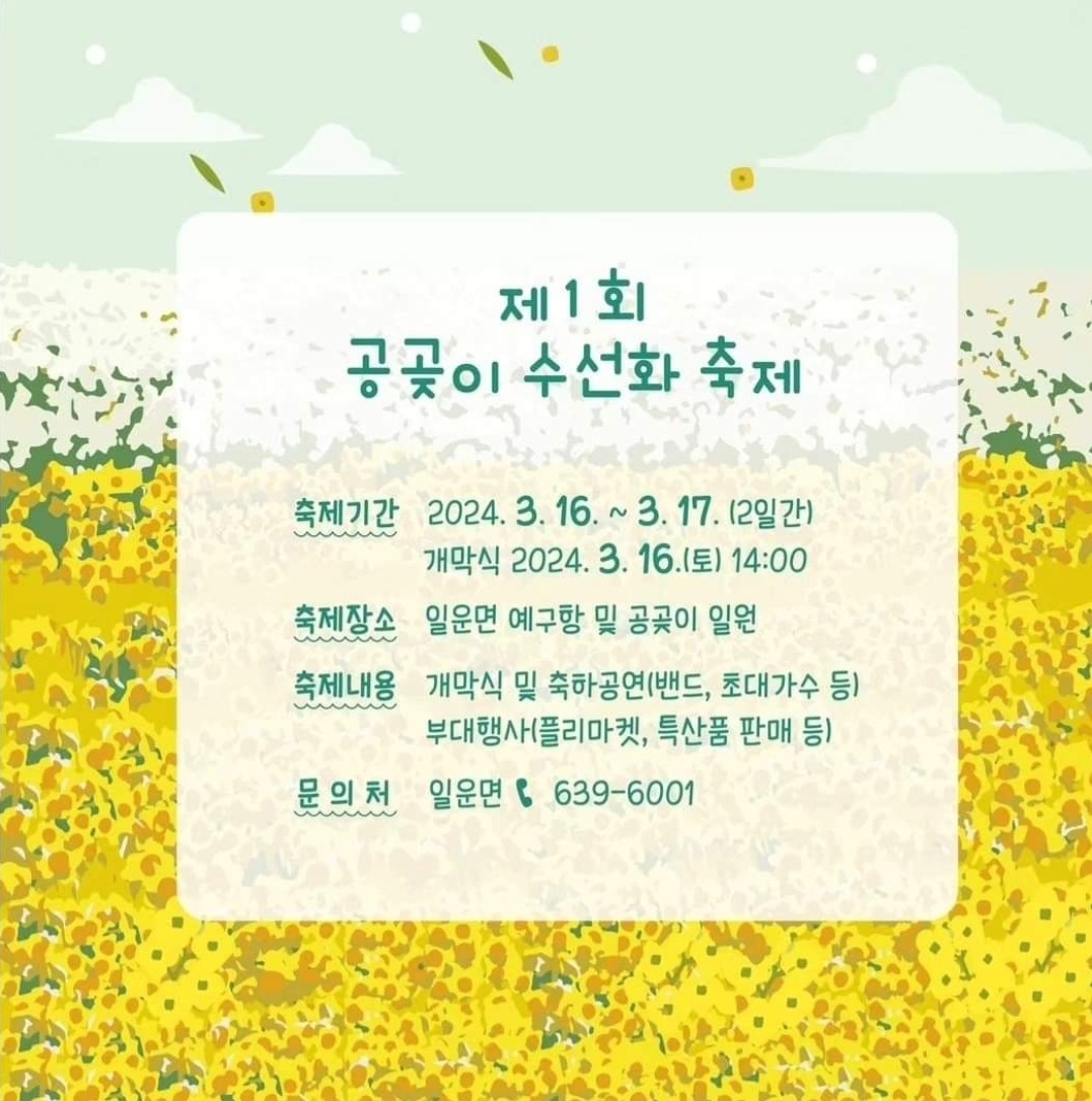 공곶이 수선화 축제 안내