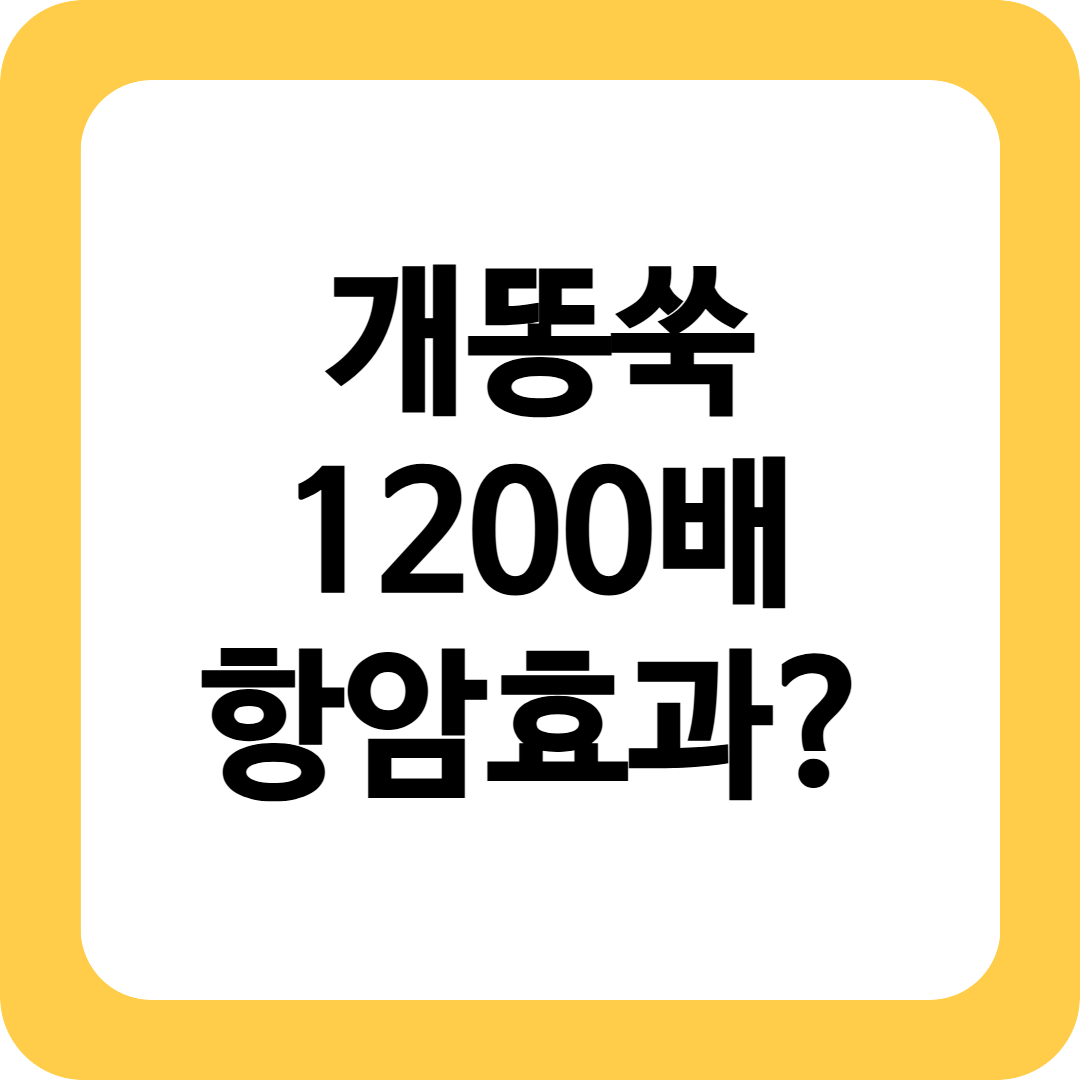 개똥쑥 효능
