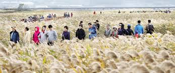 10월 전국축제 일정표