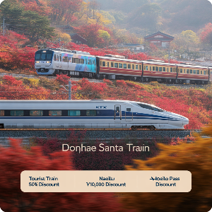 코레일 50%할인 당일치기 가을(단풍)여행 이미지