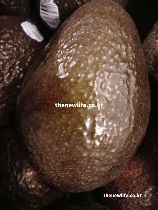 아보카도 효능 영양성분 실사진