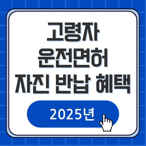 2025 고령자 운전면허 반납 혜택
