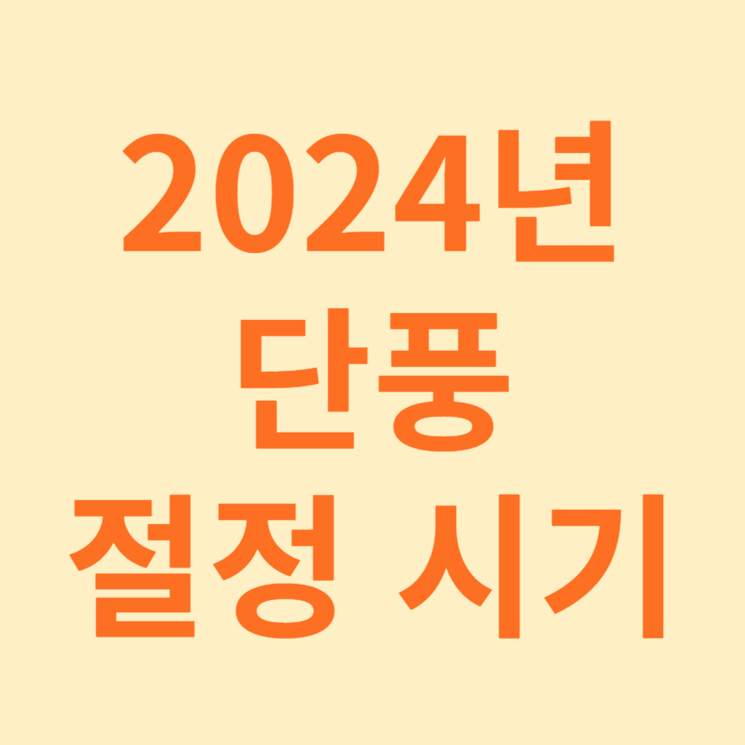 단풍절정시기