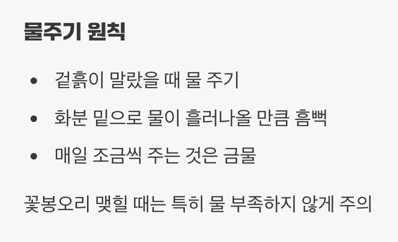 물을 좋아하지만 뿌리는 숨 쉬어야 해요