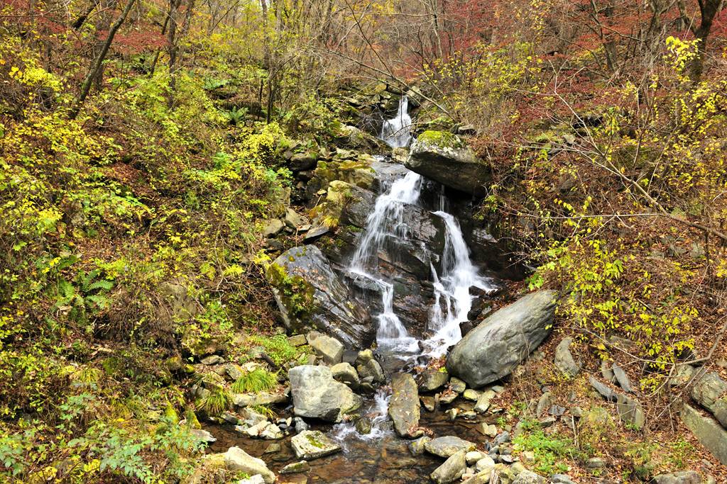정선 가리왕산 계곡: 숲속 힐링의 대명사