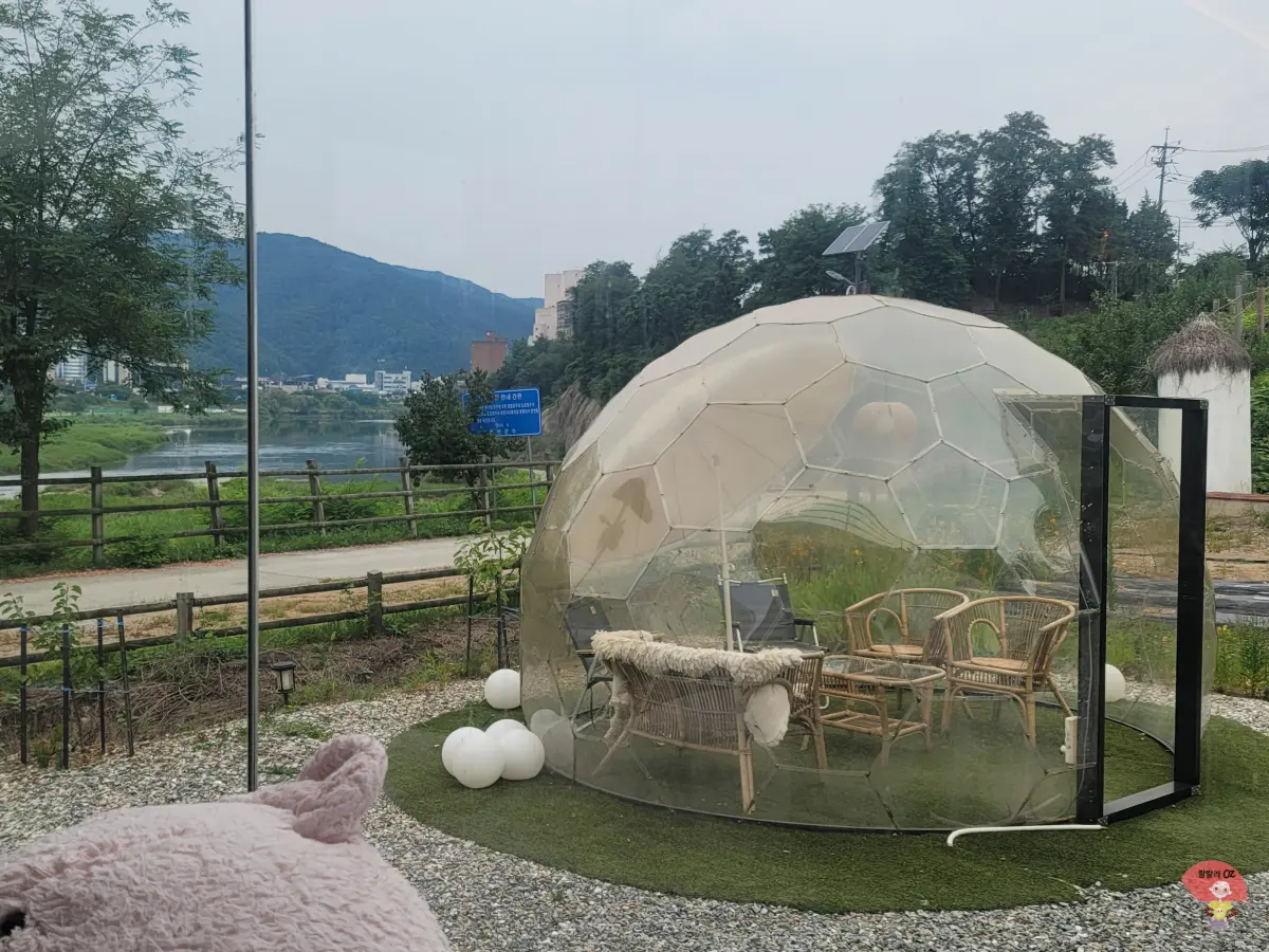 강원도-홍천-카페-테샤로바-투명한-축구공-모양의-공간안에-만들어둔-야외-티테이블-세트-옆으로-홍천강과-나무들-그-너머로-보이는-빌딩