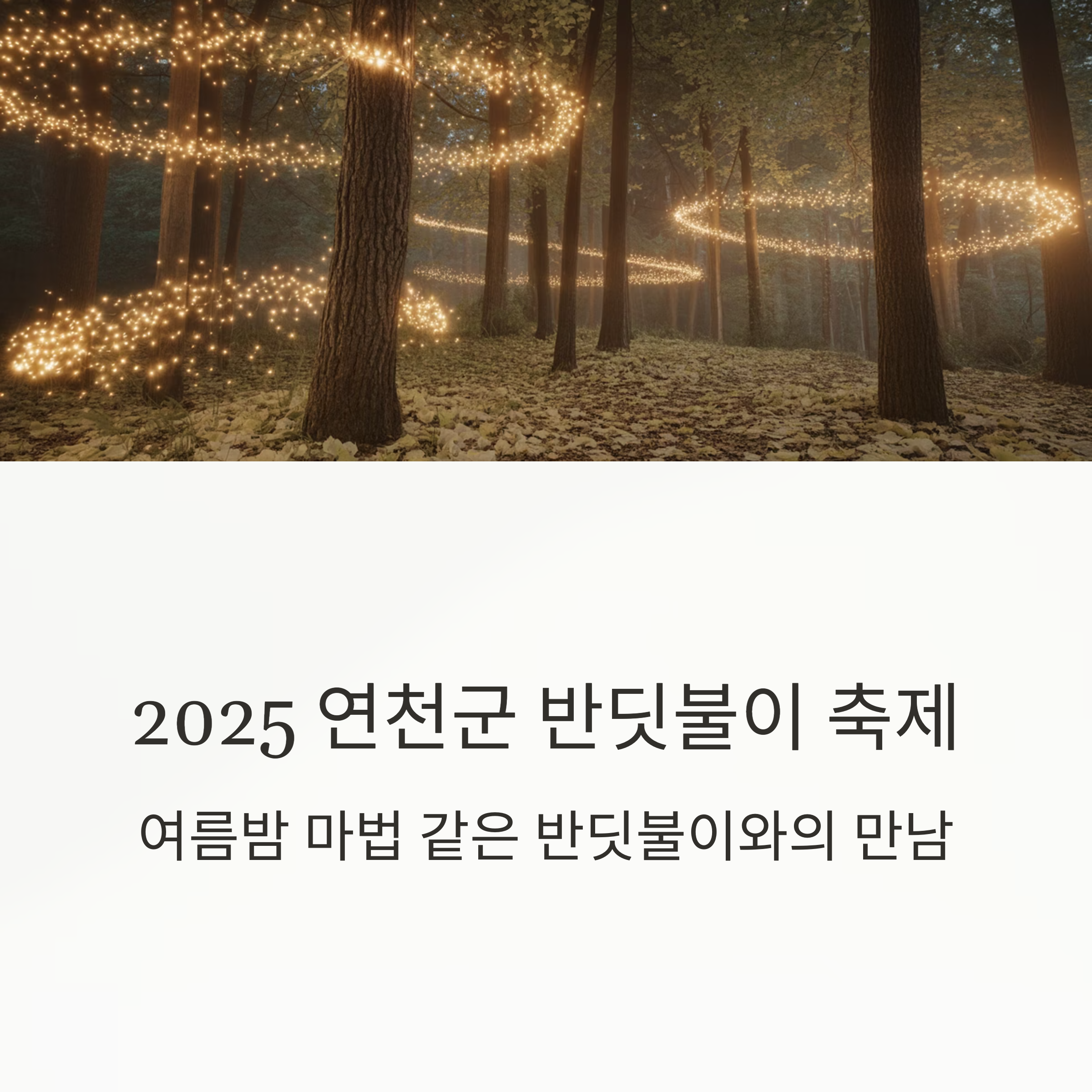 2025 연천군 반딧불이 축제를 알리는 포스터 이미지로, 숲속 나무에 둘러진 반딧불이 조명이 여름밤의 마법 같은 분위기를 연출