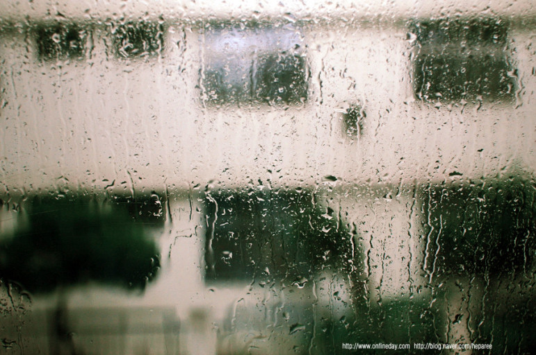 어쩐지 그래서? 우울증이 봄에 더 심해지는 원인 및 증상 치료 방법 