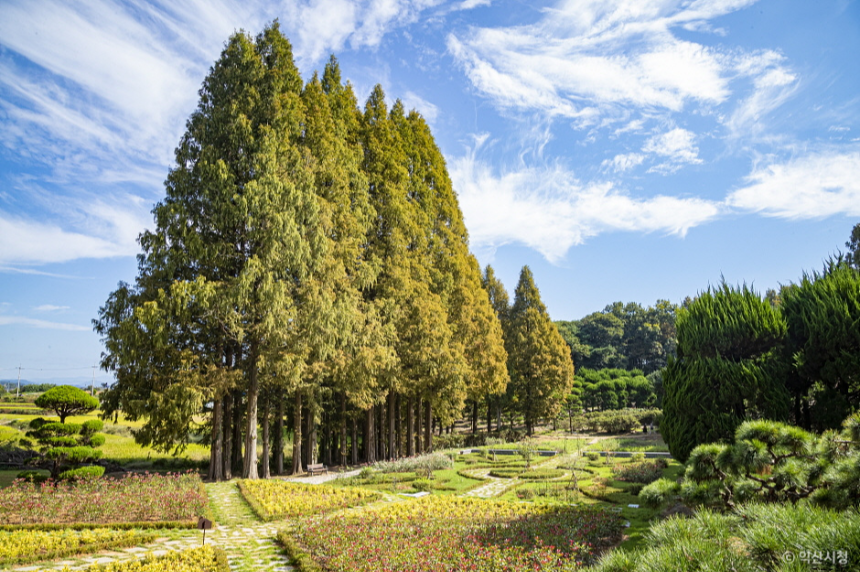 특색있고 아름다운 민간 정원 30선 추천 여행 - 28. 익산 아가페 정원