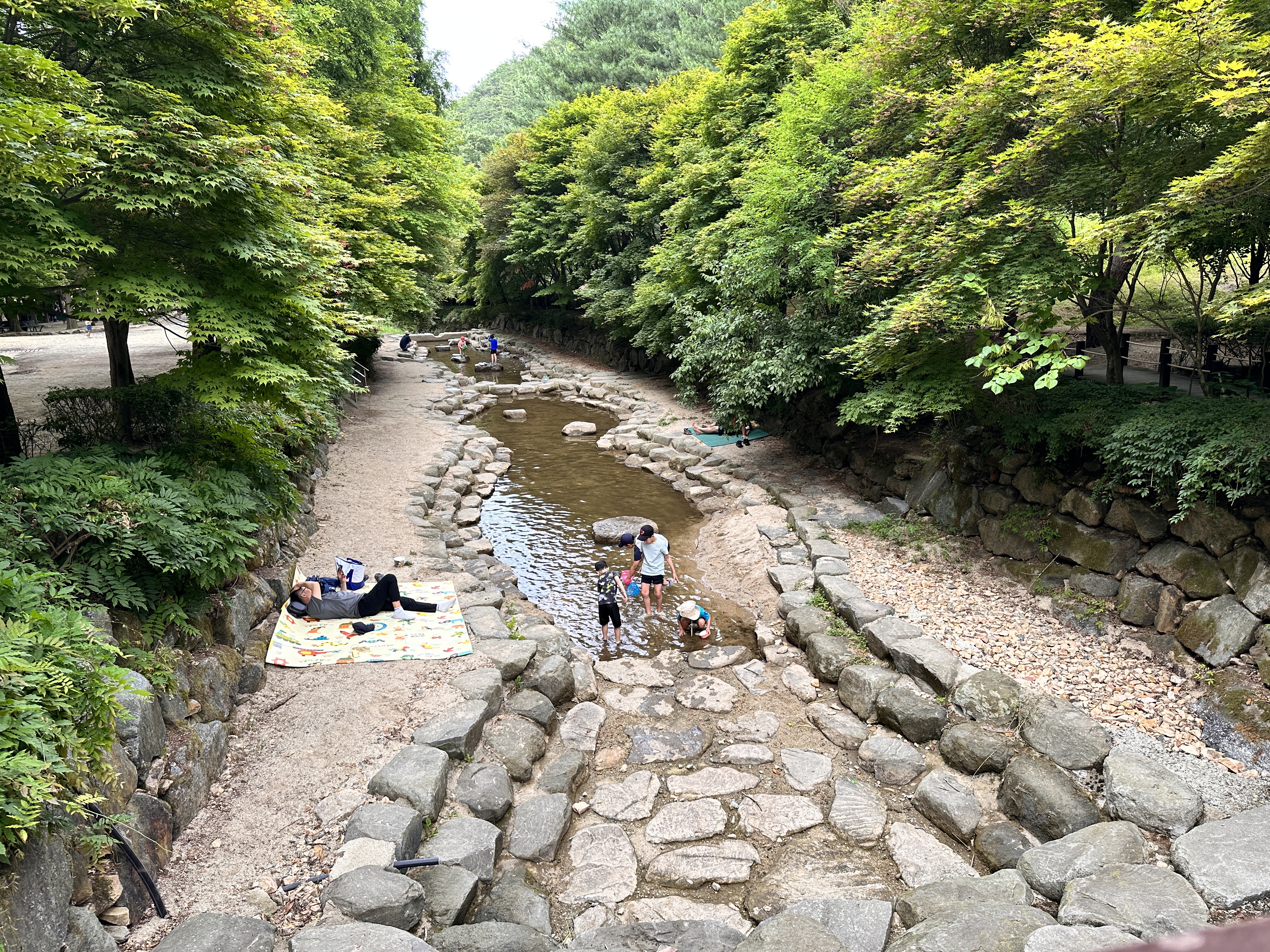 대전 상소동 산림욕장