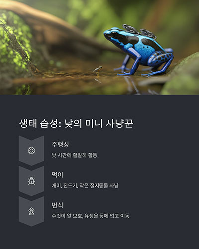 미세한 습도에 민감한 낮 활동 포식자