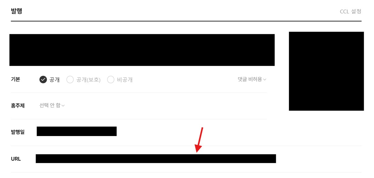 발행 팝업창