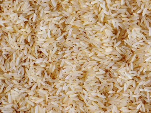 상황버섯 쌀 베타글로칸