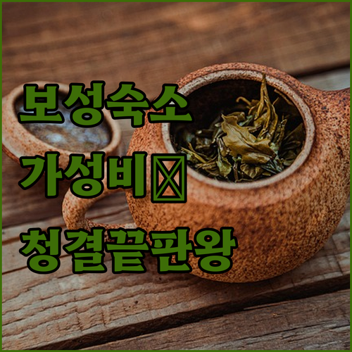 보성 녹차밭 근처 숙소 추천 가성비와..