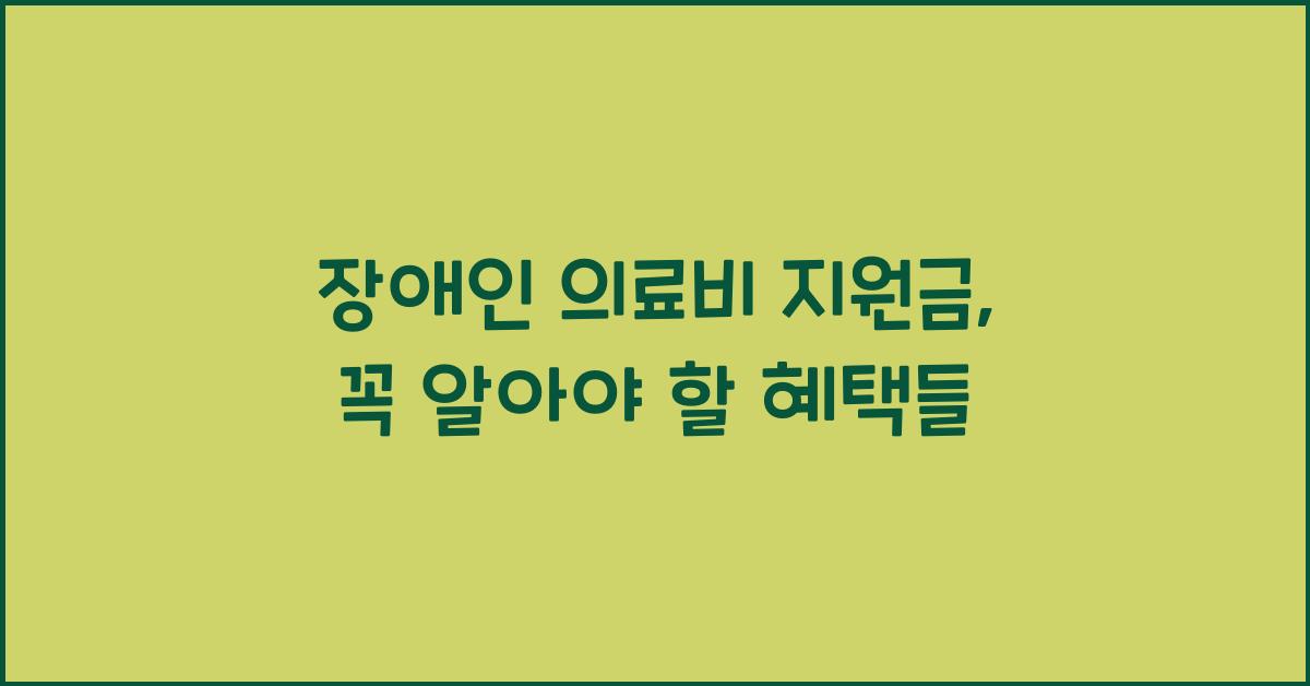 장애인 의료비 지원금