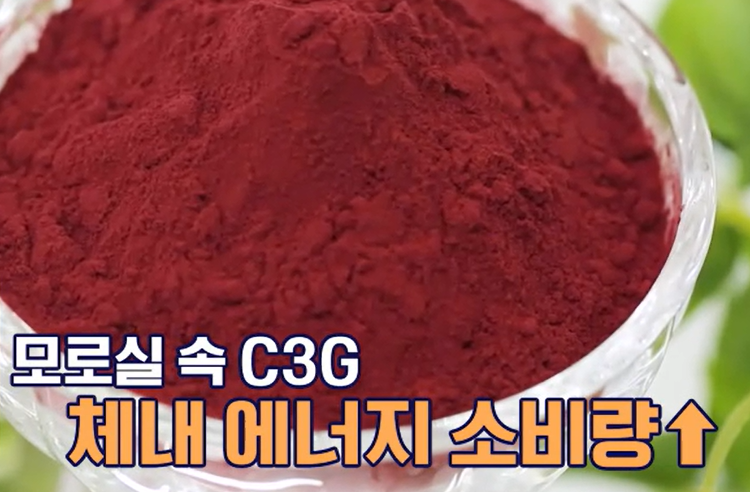 모로실 효능