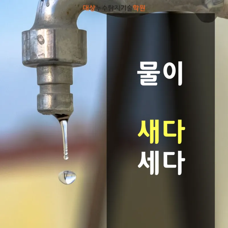 물이 세다 새다 맞춤법 맞는 표현_3